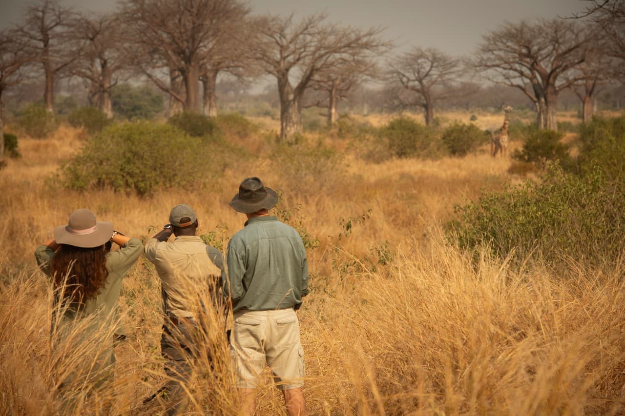 Dva průvodci na safari procházejí suchým africkou krajinou s rozprostřenými akáciemi.