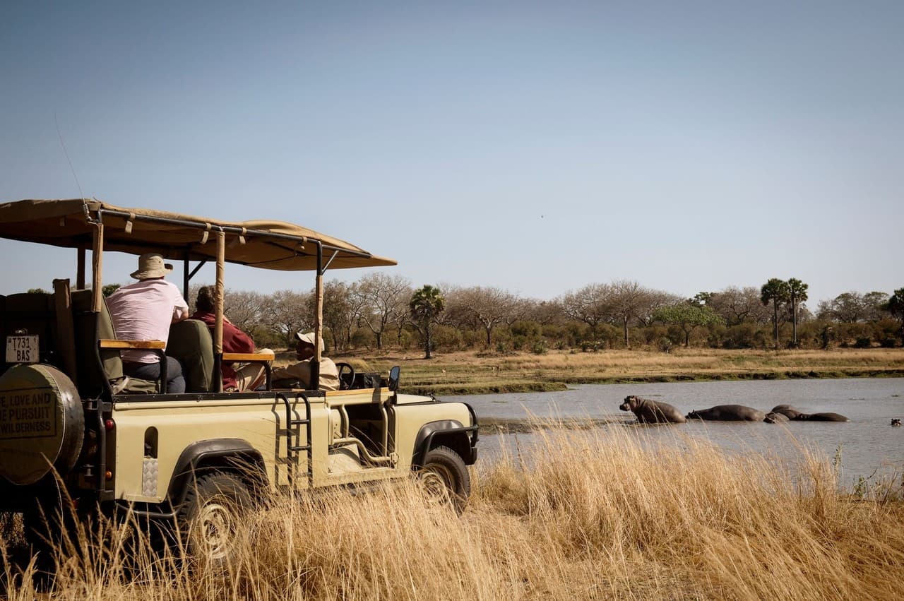 Turista pozoruje slony z otevřeného safarijního vozidla u vodního otvoru v africké saváně.
