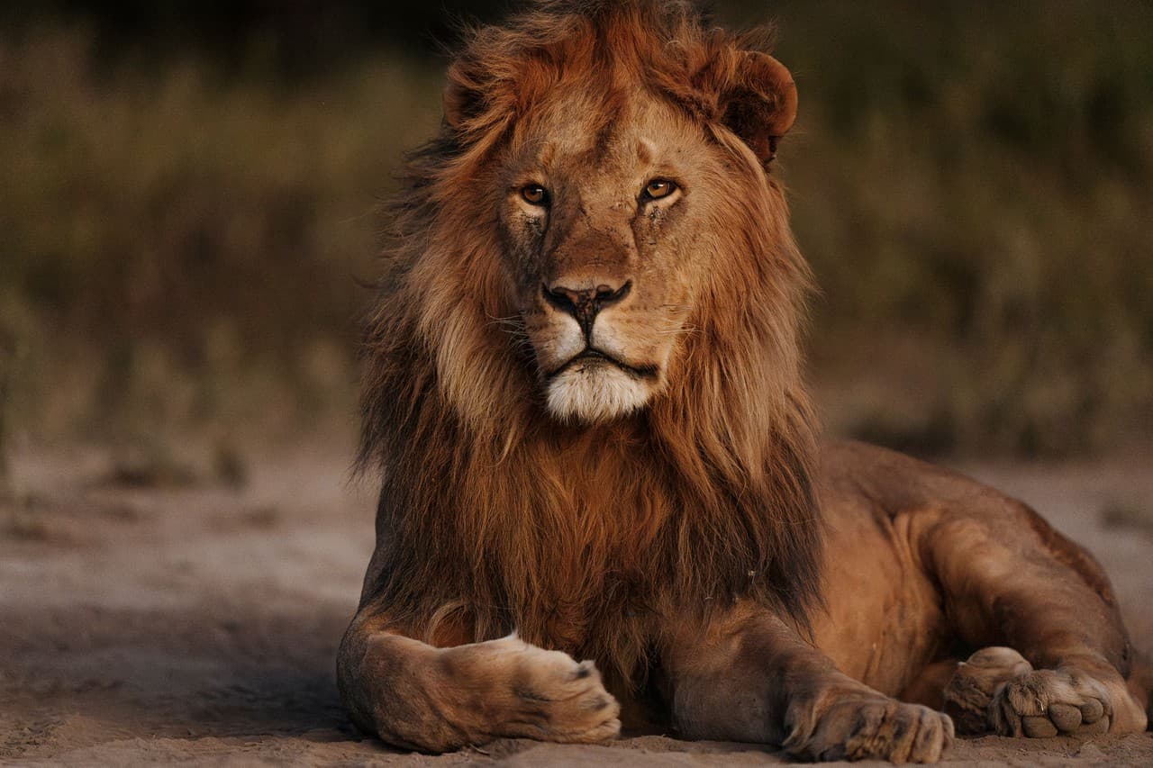 Tanzanie