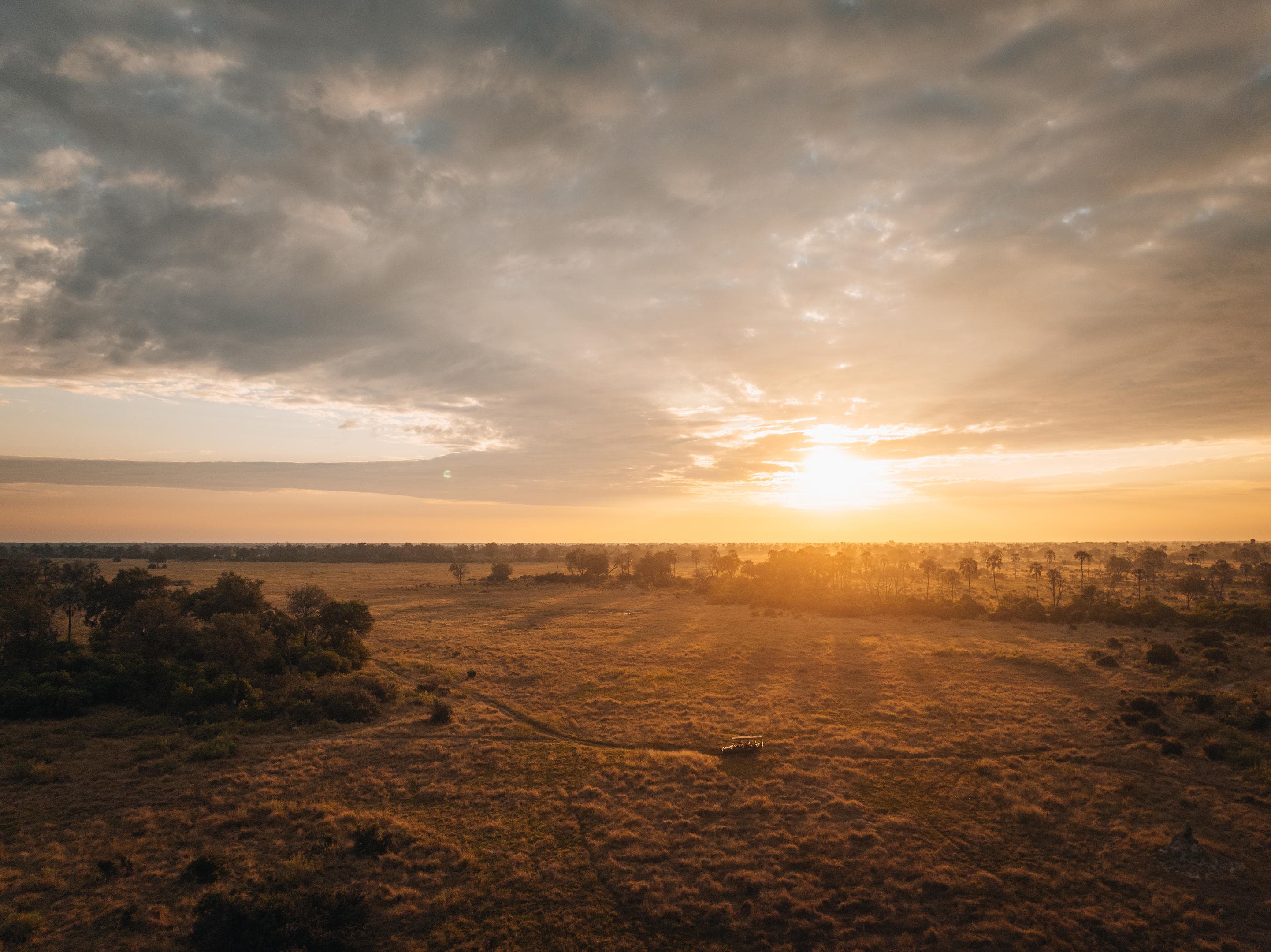 Africká savana při západu slunce s rozprostřeným zlatavým krajinou a stromy v dálce.