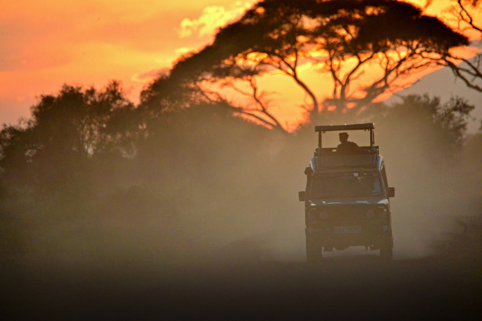 Jeep safari