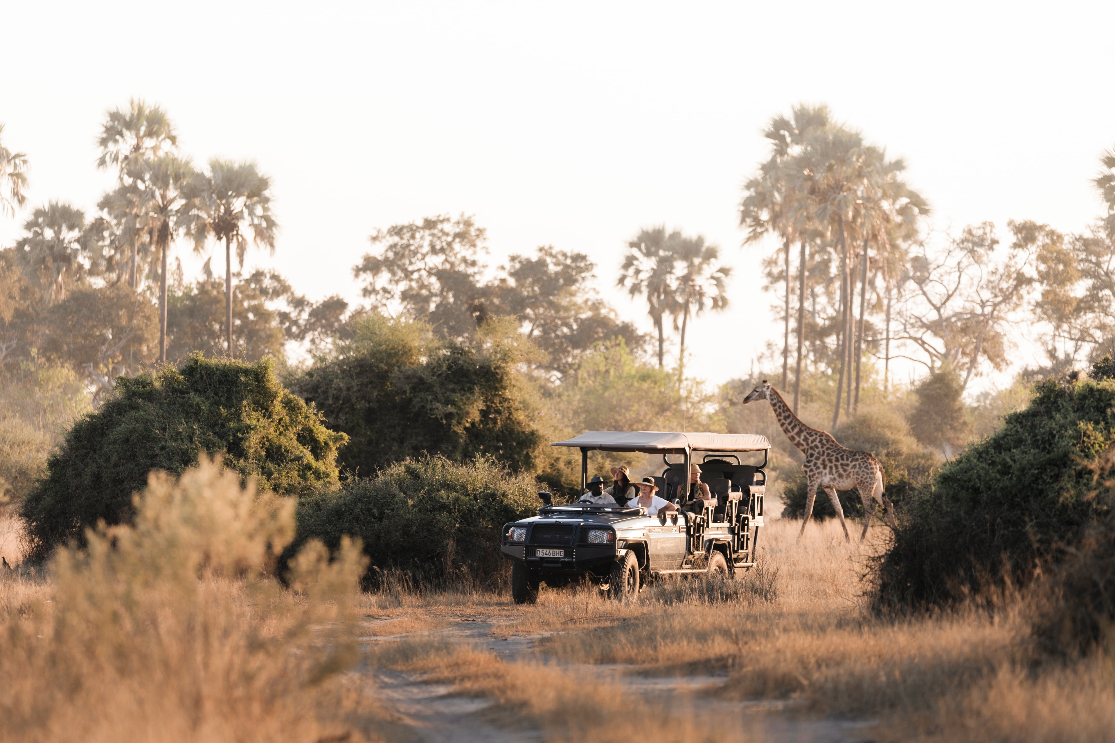 Jeep safari