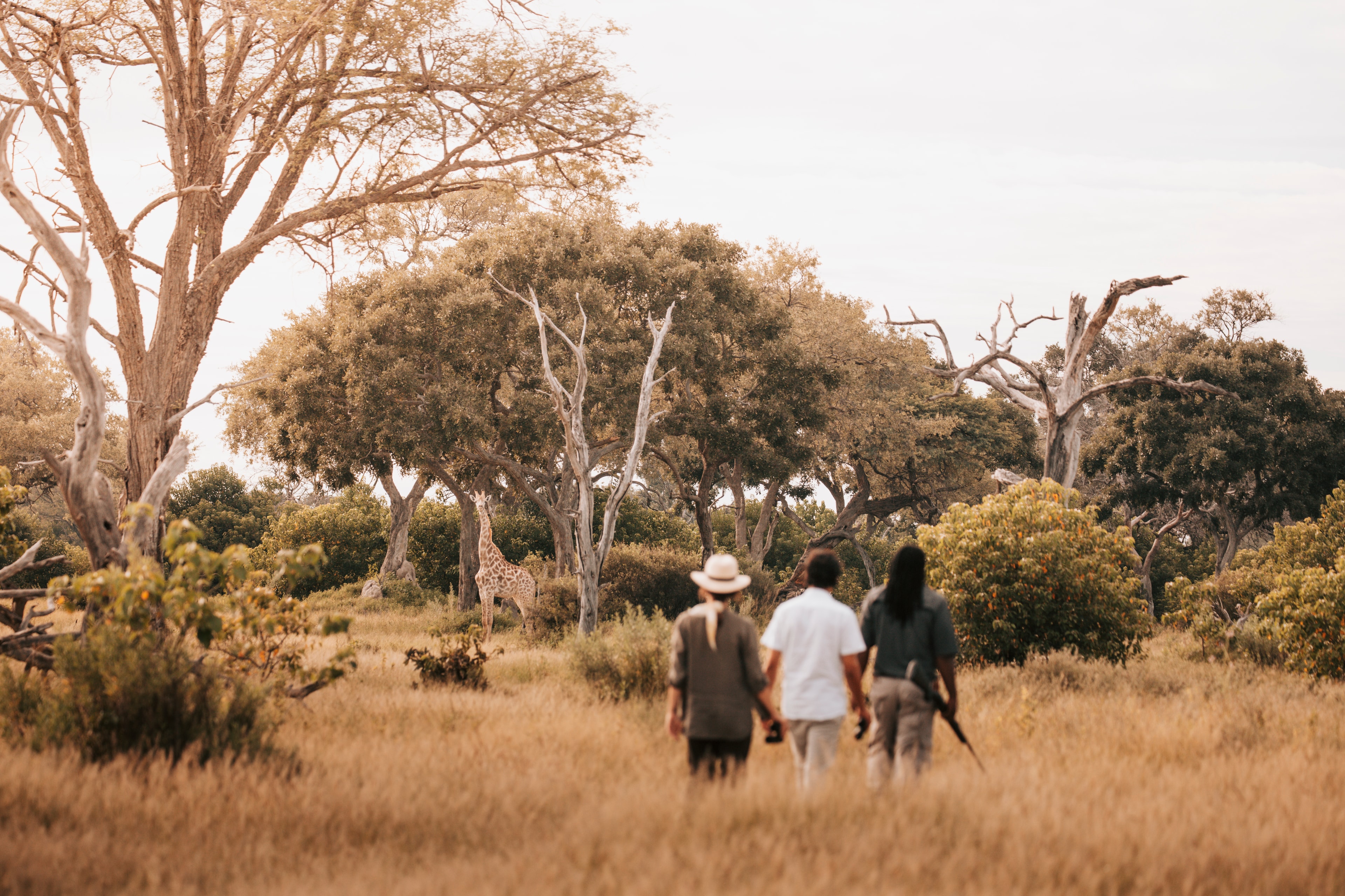 Walking Safari